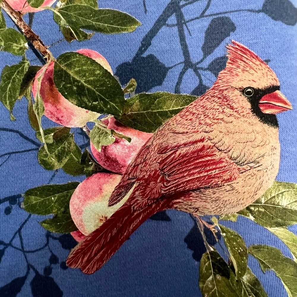 Vintage Womens Sweatshirt Sm Red Bird Cardinal Graphic Cottagecore Morning Sun - Picture 4 of 8